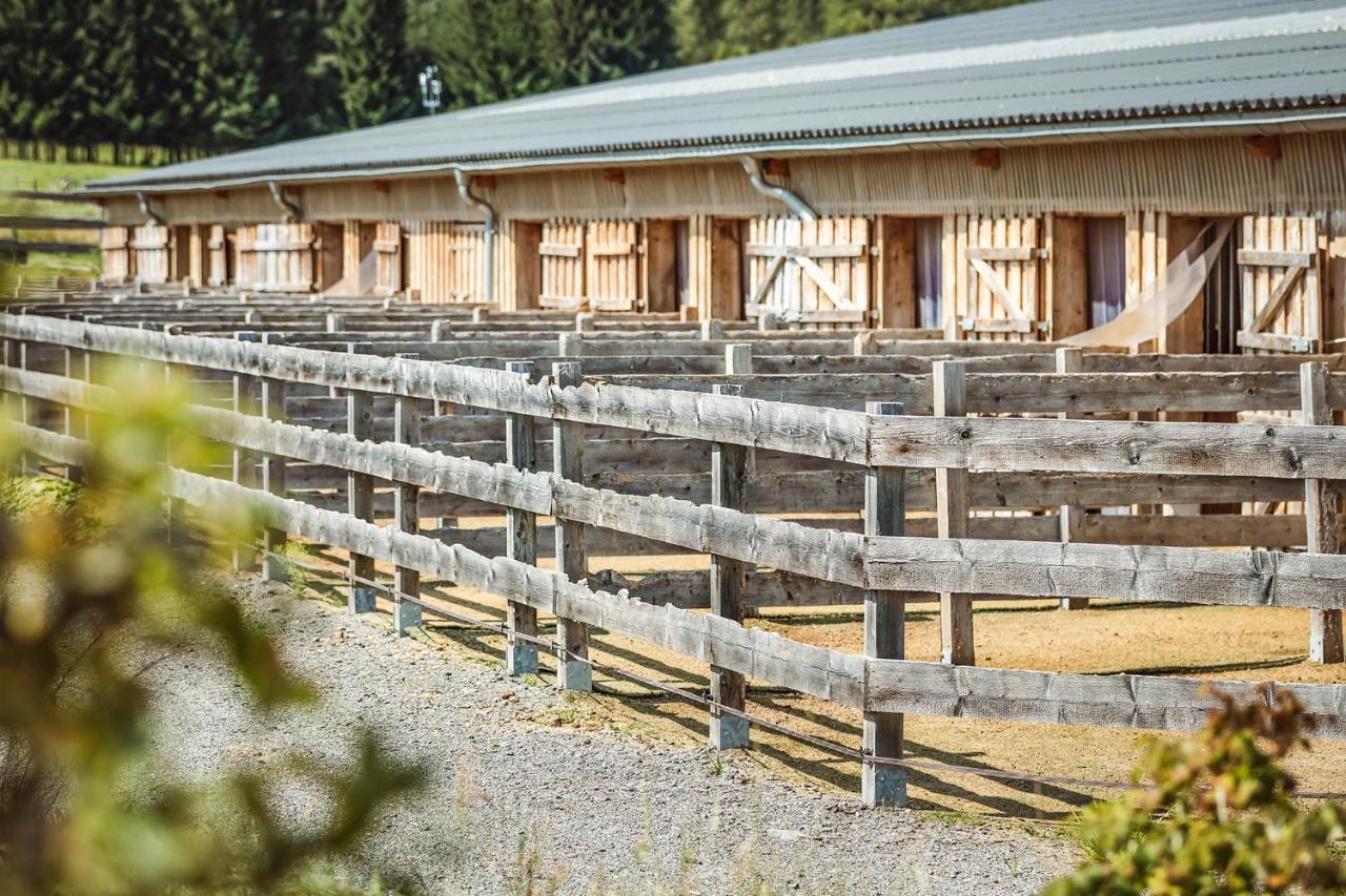 Ranchhouse Smoker- Westernstable - Horse Apartment Elterlein