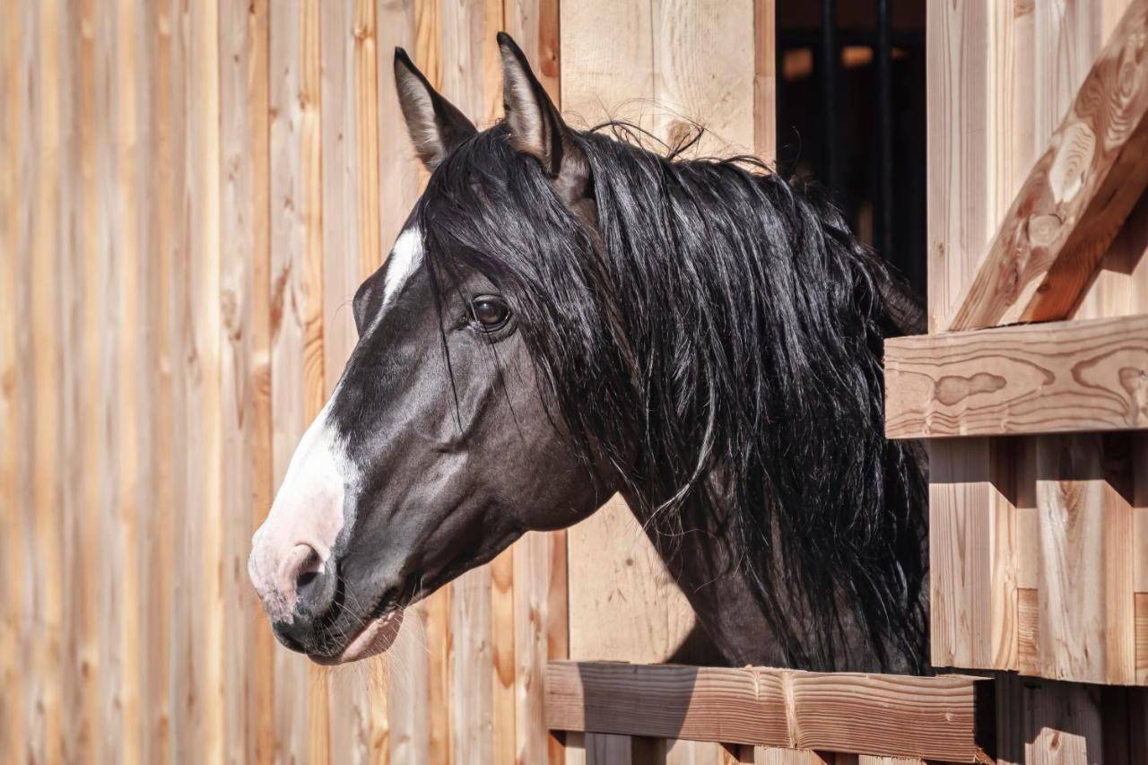 Ranchhouse Smoker- Westernstable - Horse * Elterlein